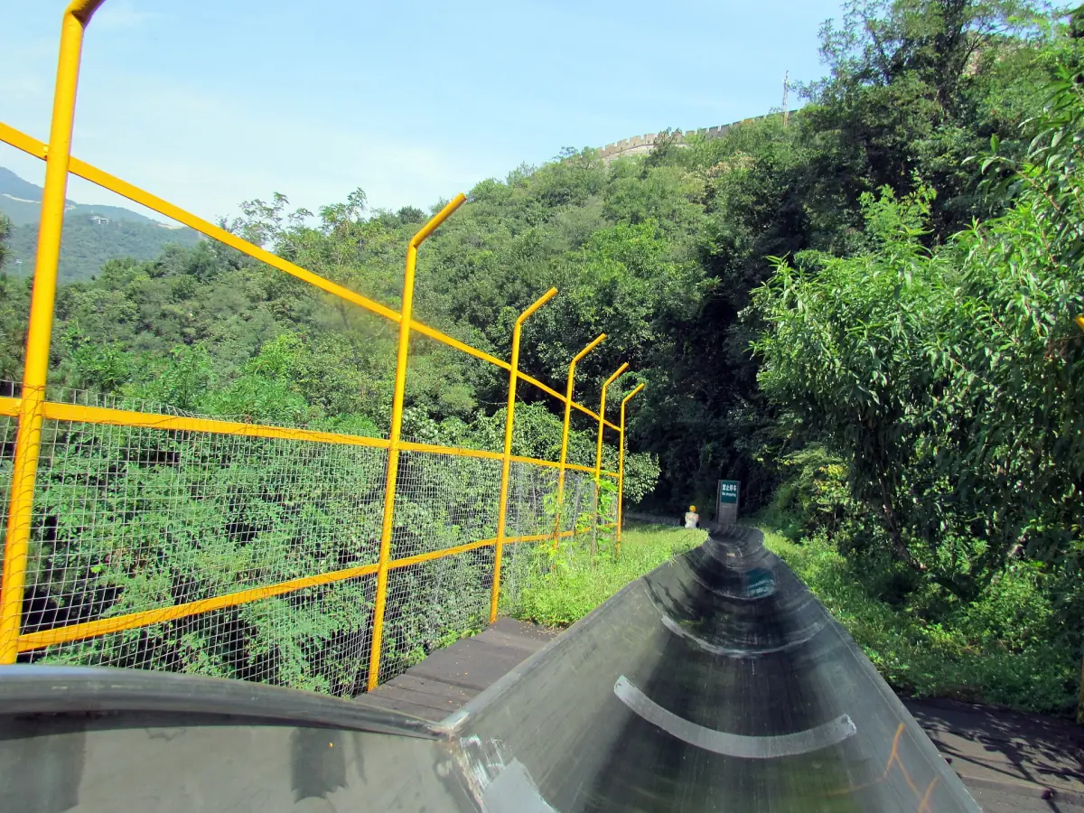 The toboggan run through the forest