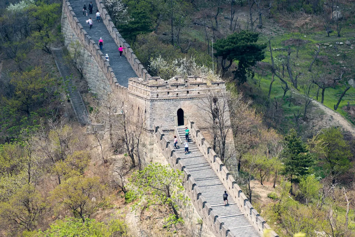 Visitors walking between towers
